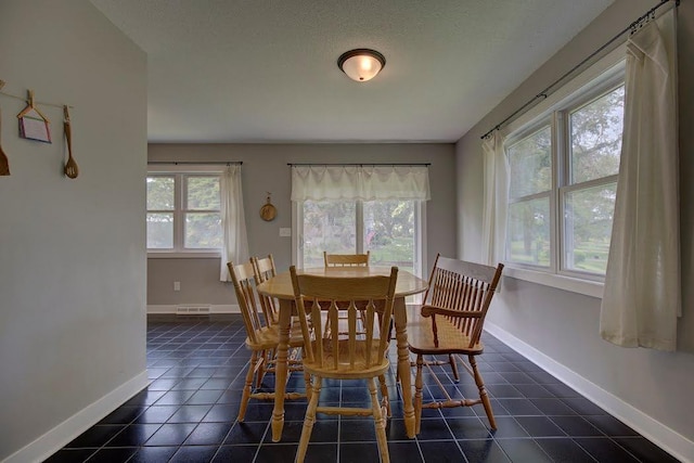 9390 Edgebrook Dr, Northfield, MN 55057 - photo 9