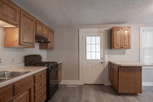 351 Saint Clair Ave, Saint Paul, MN 55102 - photo 2