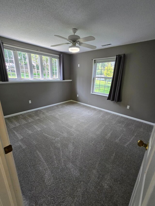 4207 Sapphire Ln NW, Rochester, MN 55901 - photo 33