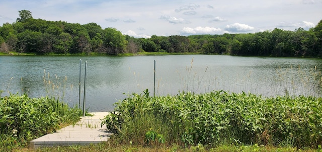 1006 Moon Glow Rd, Hudson, WI 54016 - photo 7