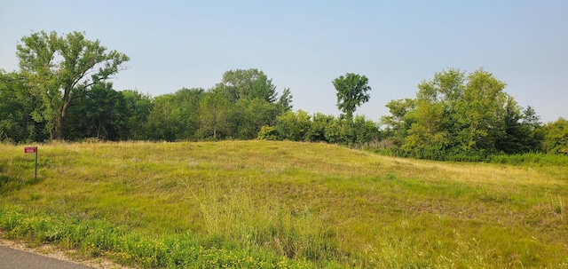 1006 Moon Glow Rd, Hudson, WI 54016 - photo 8