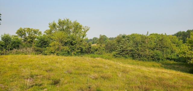 1006 Moon Glow Rd, Hudson, WI 54016 - photo 11