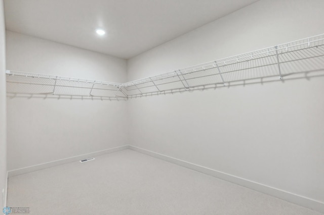 walk in closet featuring carpet flooring