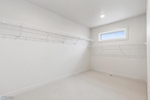 spacious closet featuring carpet flooring