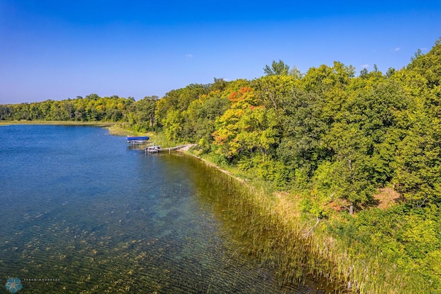 45227 316th Ave, Vergas, MN 56587 - photo 35