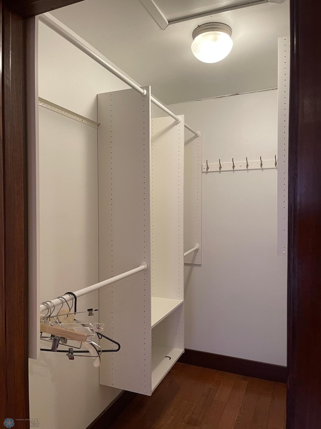 spacious closet featuring dark hardwood / wood-style floors