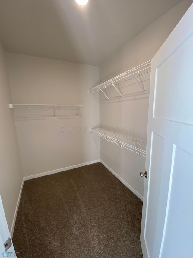 spacious closet with dark colored carpet