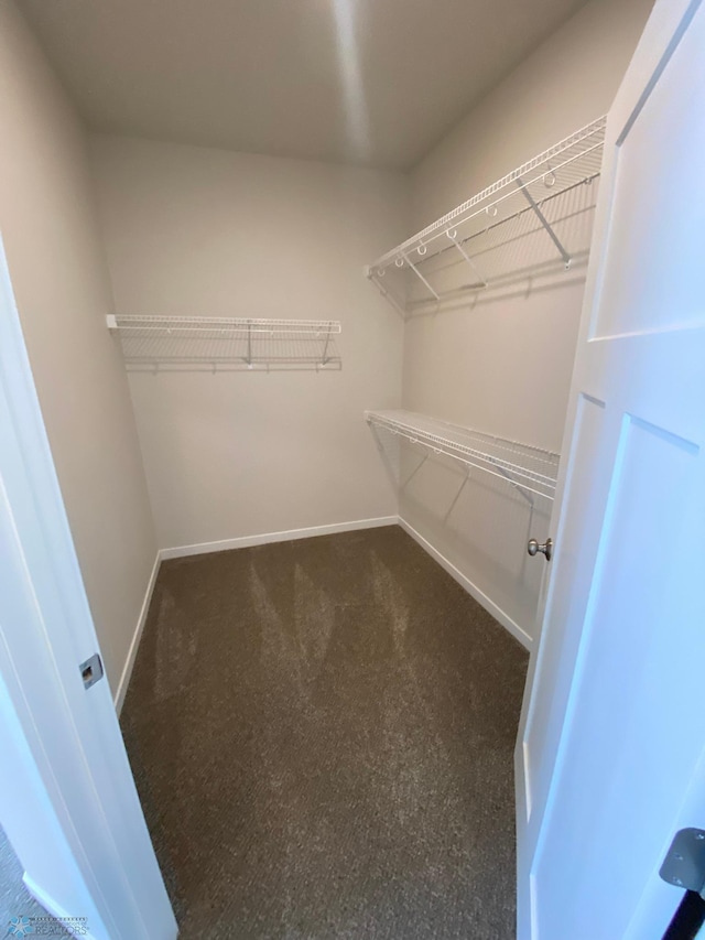 walk in closet featuring carpet