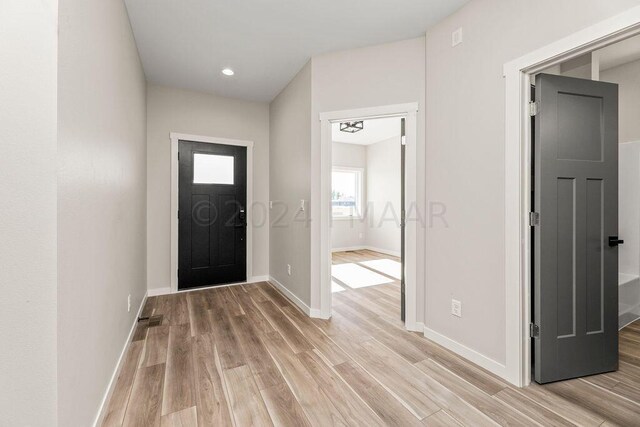 entryway with light wood-type flooring