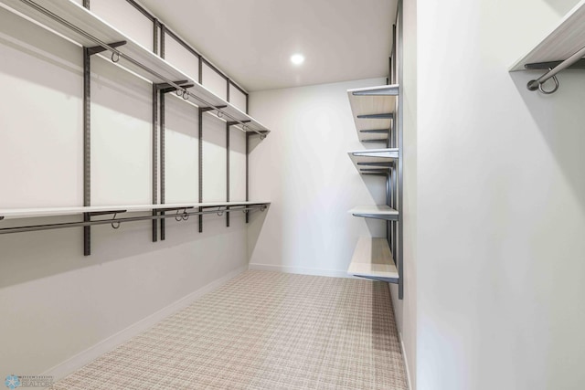 spacious closet featuring carpet floors
