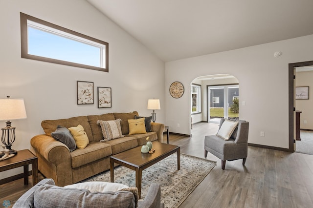 living room with hardwood / wood-style flooring and lofted ceiling