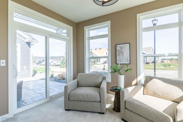 living area with carpet floors