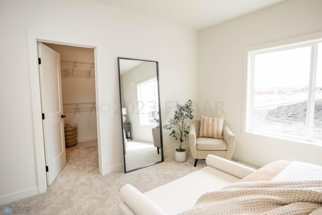 carpeted bedroom with a spacious closet and a closet