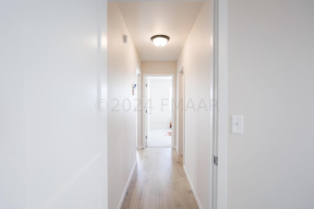 hall featuring light hardwood / wood-style floors