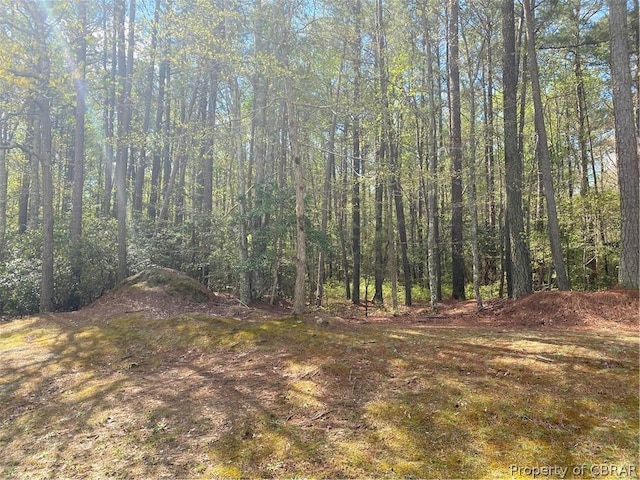 85 Eagles Trce, Lancaster VA, 22503 land for sale