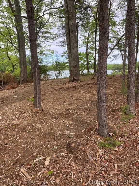 0000 Whittstat Ln, Heathsville VA, 22473 land for sale