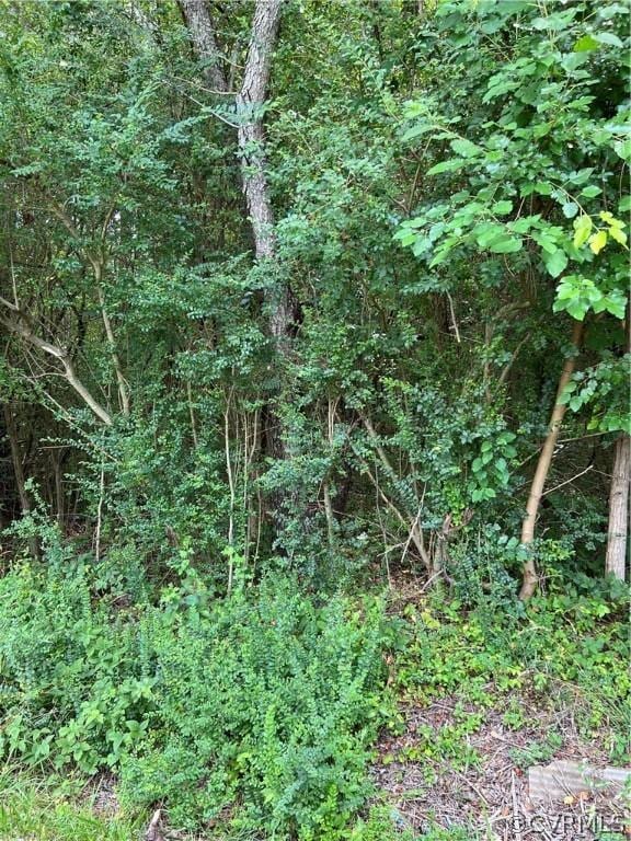 000 Glenwood, Topping VA, 23169 land for sale