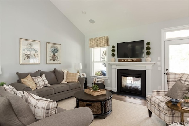 living room featuring vaulted ceiling and light hardwood / wood-style flooring