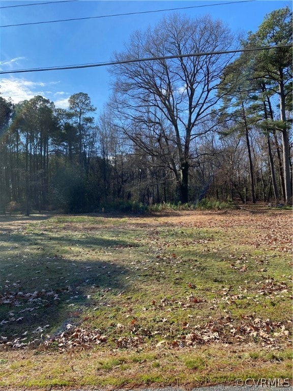 256 Shady Ln, White Stone VA, 22578 land for sale