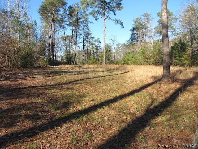 Listing photo 3 for 0 Doggett Ln, Lancaster VA 22503