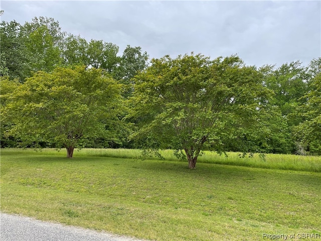 00 Dixie Dr, Cobbs Creek VA, 23035 land for sale