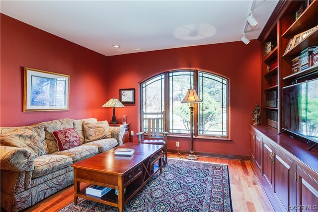 living room with track lighting and light hardwood / wood-style floors