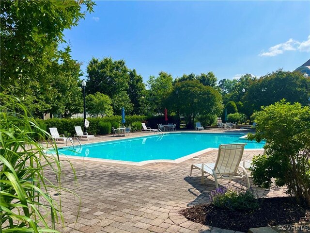 view of swimming pool featuring a patio