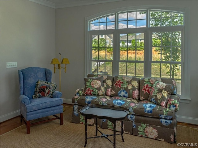 living room with baseboards and ornamental molding