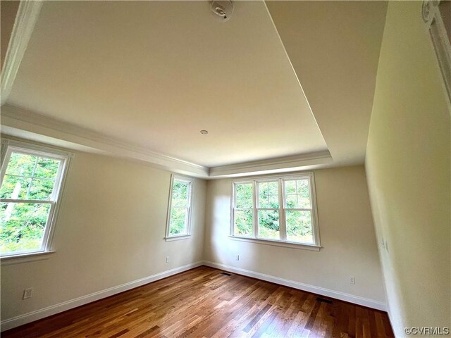 empty room with a raised ceiling, wood finished floors, baseboards, and a healthy amount of sunlight