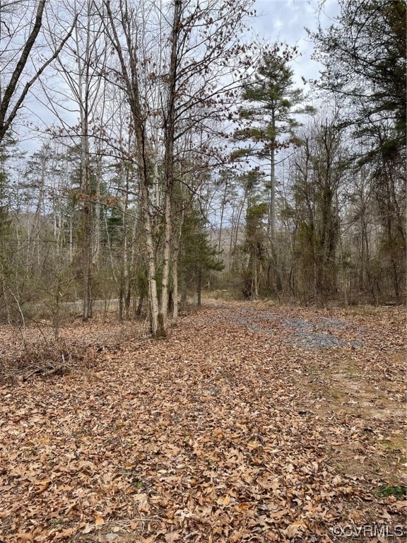 Listing photo 2 for NA Estaline Valley Rd, Craigsville VA 24439