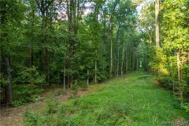 00 Island Rd, Gloucester, VA 23061 - photo 6