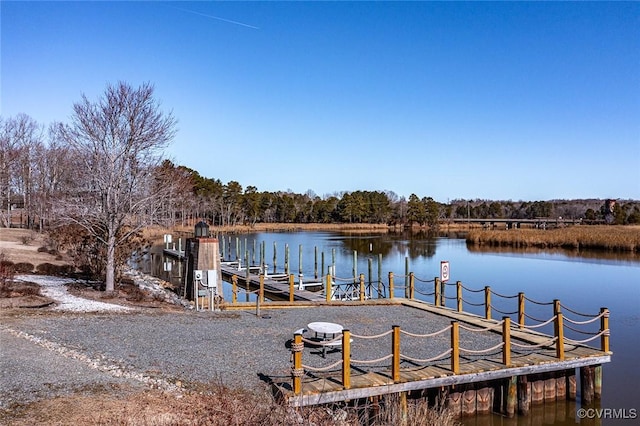 dock area featuring a water view