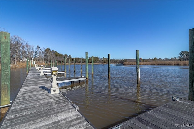 dock area with a water view