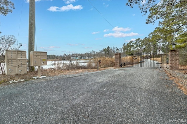 view of street with a gate and a gated entry