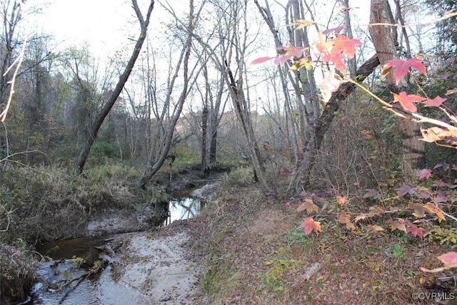 view of nature featuring a wooded view