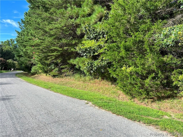 000 Orchard Cove Rd, Locust Hill VA, 23092 land for sale