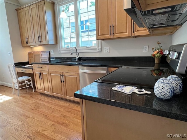 kitchen featuring baseboards, stainless steel dishwasher, light wood-style floors, a sink, and exhaust hood