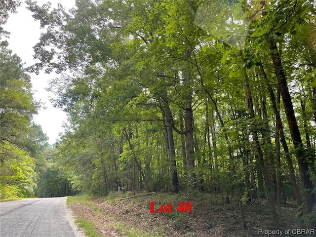 Listing photo 2 for LOT40 Wicomico Dr, Heathsville VA 22473