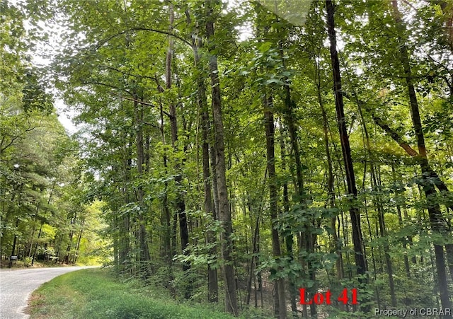 Listing photo 2 for LOT41 Wicomico Dr, Heathsville VA 22473