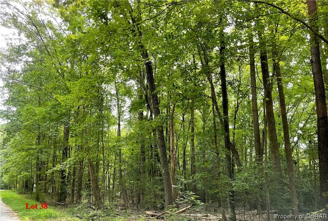 Listing photo 2 for LOT38 Wicomico Dr, Heathsville VA 22473