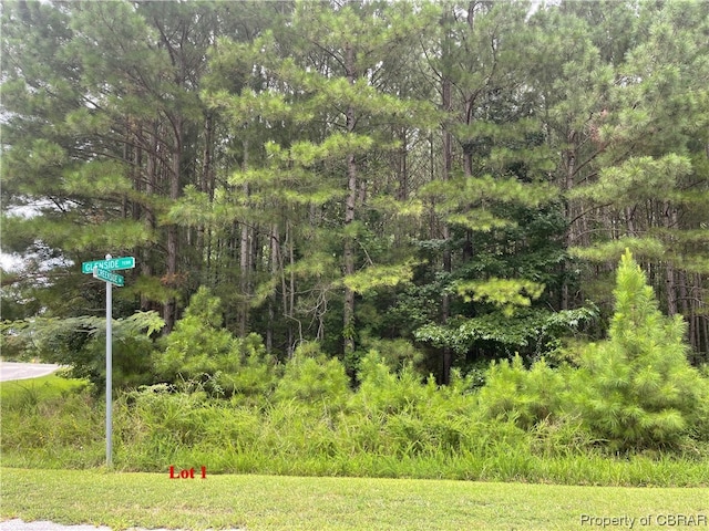 Listing photo 2 for LOT1 Creekside Dr, Heathsville VA 22473