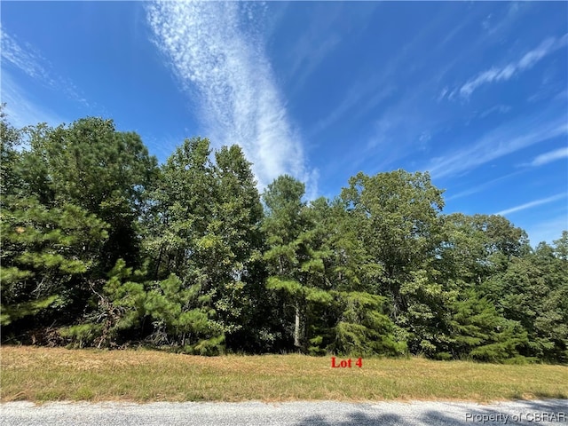 Listing photo 3 for LOT4 Glenside Ter, Heathsville VA 22473