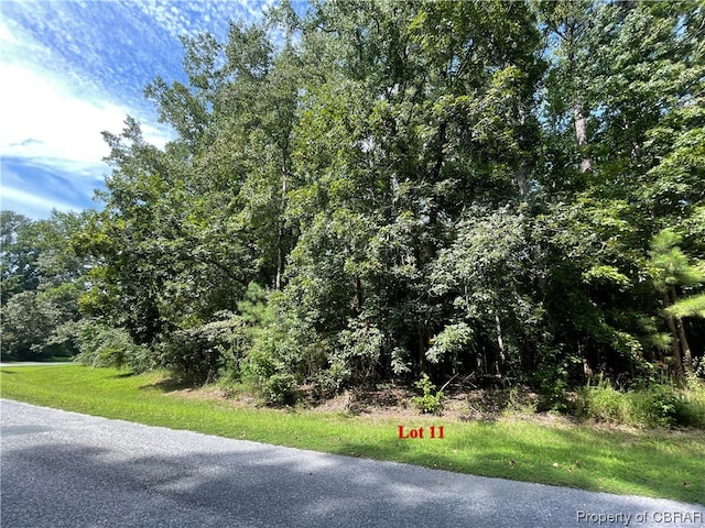 Listing photo 3 for LOT11 Creekside Dr, Heathsville VA 22473