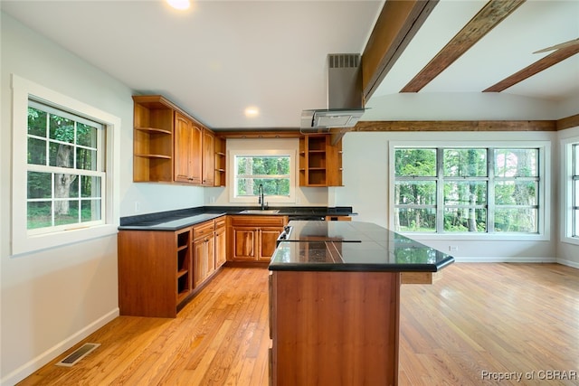 kitchen featuring light hardwood / wood-style flooring, plenty of natural light, sink, and range hood