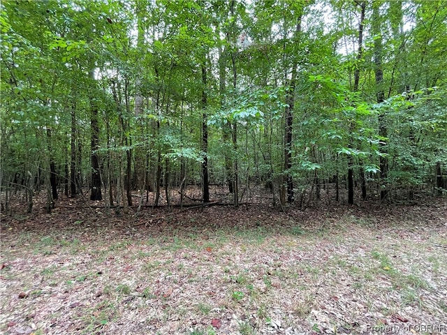 Listing photo 2 for 0010.88AC Beech Creek Rd, Gloucester VA 23061