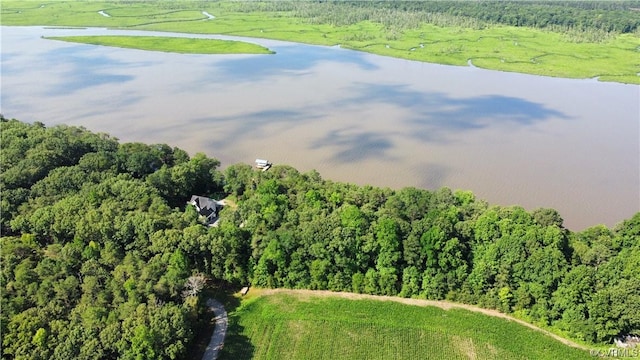 aerial view with a view of trees and a water view