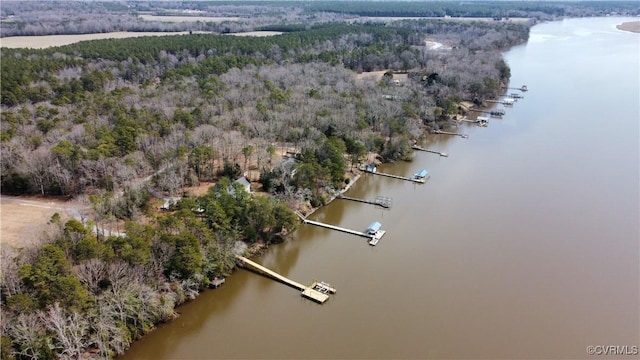 bird's eye view with a forest view and a water view