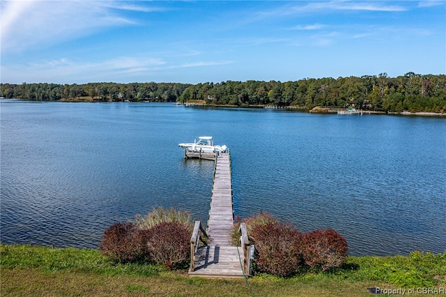 dock area featuring a water view