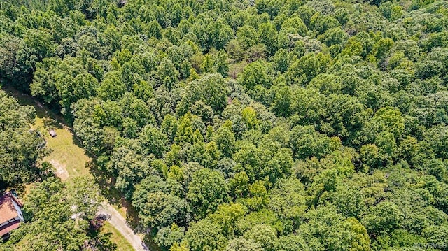 02 Chimney Springs Dr, Goochland, VA 23063 - photo 3