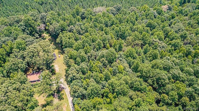 02 Chimney Springs Dr, Goochland, VA 23063 - photo 4